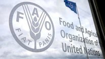 منظمة الأغذية والزراعة تنبّه إلى ارتفاع الفاتورة العالمية للواردات الغذائية