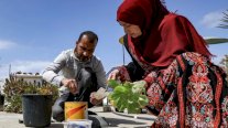 العوز يخلق محاولة اقتصاد بديل في غزة لتوفير لقمة العيش