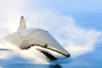  إصابة قرش رامز جلال