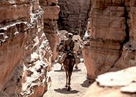 ذيب: حول العالم في 7 شهور