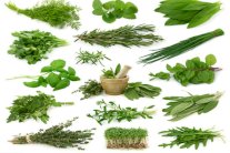 حفظ الأعشاب وطُرق استخدامها