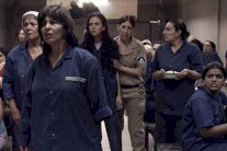 كيف صورت مي مصري فيلمها 3000 ليلة في سجن حقيقي؟