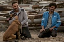 New century تطرح 