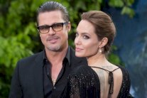 جولي تطلب حضانة أطفالها الستة