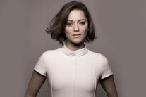 ماريون كوتيار تنفي حملها من براد بيت