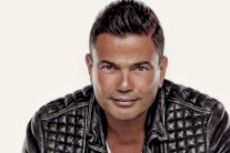 تفاصيل الأحكام القضائية بين 