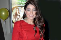 فوضى واعتداءات في عرض 