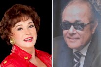 لبلبة عن محمود عبد العزيز: كان يناديني 