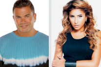 دينا الشربيني ترافق عمرو دياب في طائرة خاصة