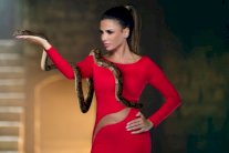 نيللي مقدسي أميرة محاربة في 