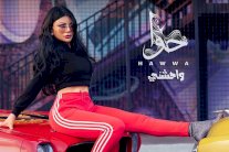 أغنية هيفاء وهبي تُحقق انتشاراً سريعاً