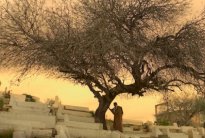 التفاصيل الكاملة للأفلام المشاركة في مهرجان الجونة