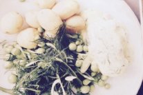  السمك مع صلصة الهولانديز