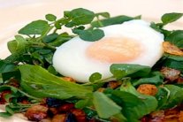  السلطات السريعة