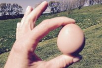 وصفات تحول البيض المقلي إلى طبق فاخر بثوانٍ