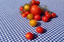  حساء الطماطم الصيفي