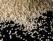 حبوب الكينوا مع كاجون الدجاج