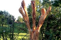  أعواد الخبز المتبلة