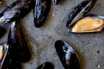 ثلاث خطوات لتنظيف بلح البحر