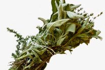 حضري الـBouquet Garni في مطبخك