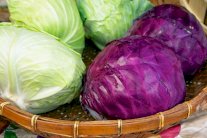 الملفوف يعود للواجهة بتعدد فوائده