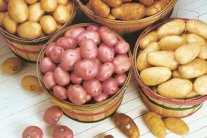 خصائص غذائية مثيرة حول البطاطا