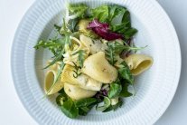 سلطة المعكرونة والأرضي شوكي