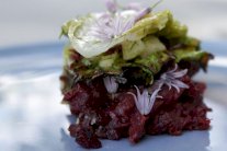 تارتار لحم الغزلان