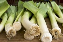 الكراث من عائلة البصل وفوائده كثيرة