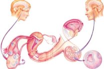 أجوبة دكتور إيلاف 139