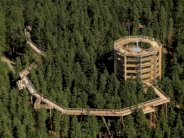 المشي بين قمم الأشجار في تشيكيا في طريق طوله 675 مترا 