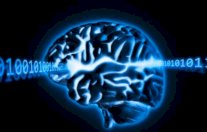 شريحة تسمح للروبوت بالتصرف والتفكير كالإنسان