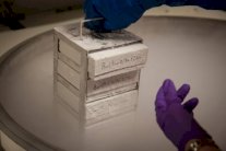 علاج تجريبي جديد بخلايا تي لمعالجة سرطان الدم