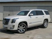 أفضل وأسوأ السيارات لطوال القامة