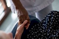 استخدام الخلايا الجذعية لاصلاح تلف الدماغ 