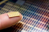 شريحة إلكترونية تمنع الحمل 16 عامًا