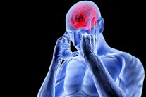 تعلم لغة أجنبية يزيد حجم الدماغ