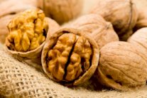 حفنتا جوز للوقاية من أمراض القلب والأوعية الدموية