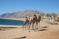 12 وجهة عالمية لسياحة صحية وتجربة روحانية