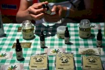 كولومبيا تشرع استخدام القنب الهندي لأغراض العلاج