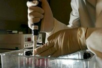 العوامل الوراثية مسؤولة عن 12 مرضا سرطانيا