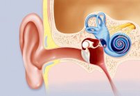6 نصائح للتغلب على دوار السفر 