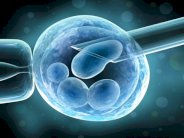 علماء بريطانيون يريدون تحوير الجينوم البشري