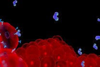 الجنس الفموي يزيد خطر الإصابة بالسرطان بمقدار 22 ضعفاً