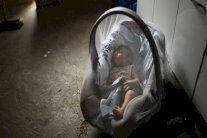 10 طرق تحميك من فيروس زيكا