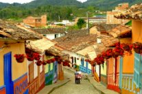 أحياء أميركا اللاتينية معارض فنية حية