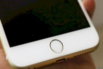 أبل تطرح طرازين جديدين من أي فون وأي باد الشهر المقبل