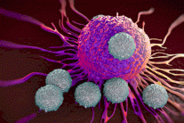 بحث طبي يبشّر بالانتصار على السرطان 