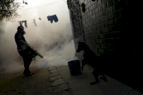 علماء برازيليون يفكون شفرة جينوم فيروس زيكا