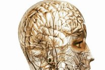 تحفيز المخ بالكهرباء 